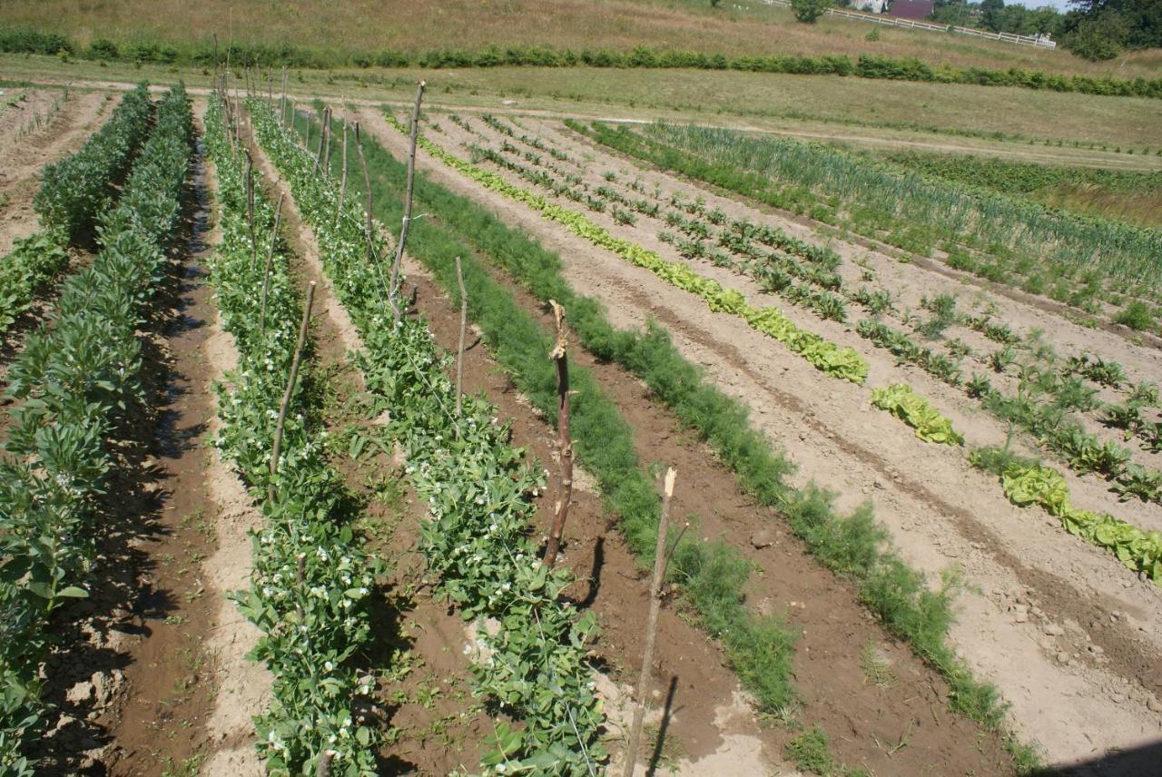 Agrodomki Okej -Dom Koko Gardna Wielka Eksteriør billede